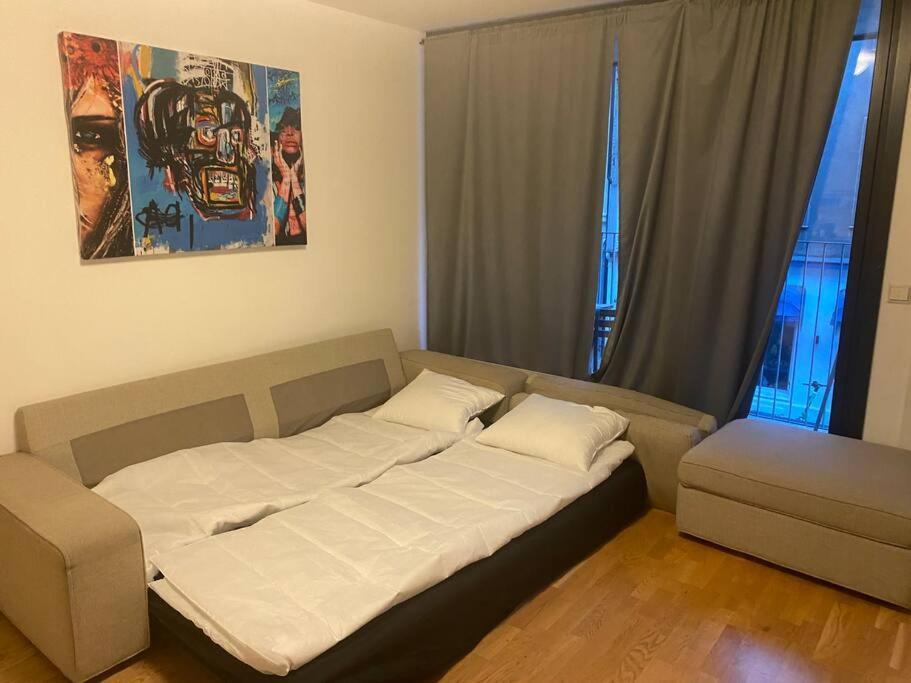 Leilighet Midt I Oslo Sentrum 2 Soverom Og Stue المظهر الخارجي الصورة